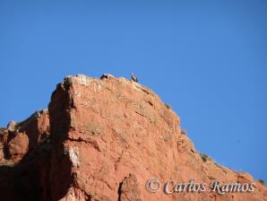 Arnedillo014