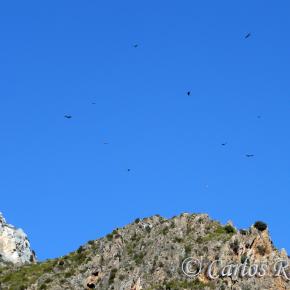 20080119 Vía verde Arnedo-Arnedillo