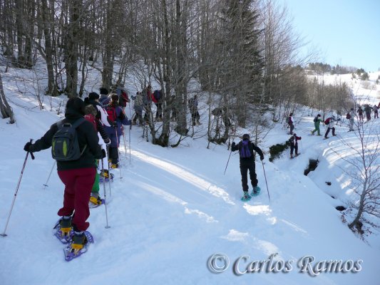 Raquetas en Candanchú011
