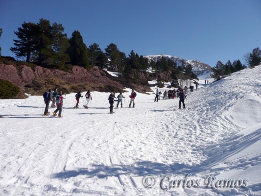 Raquetas en Candanchú012
