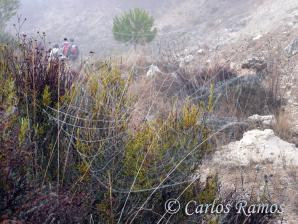 Armantes-Calatayud004