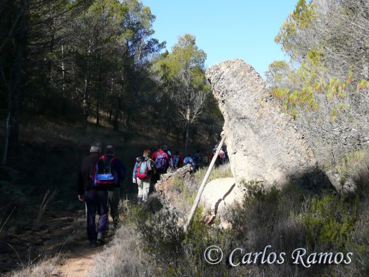 Armantes-Calatayud013