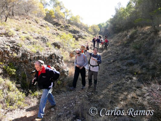Armantes-Calatayud014