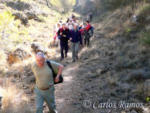 Armantes-Calatayud015