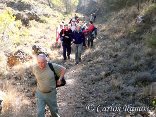 Armantes-Calatayud015