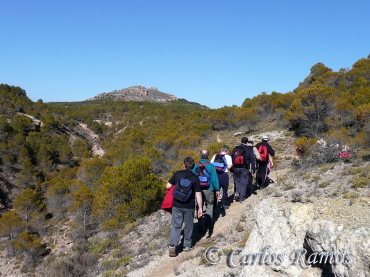 Armantes-Calatayud016