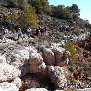 Armantes-Calatayud020
