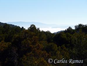 Armantes-Calatayud022