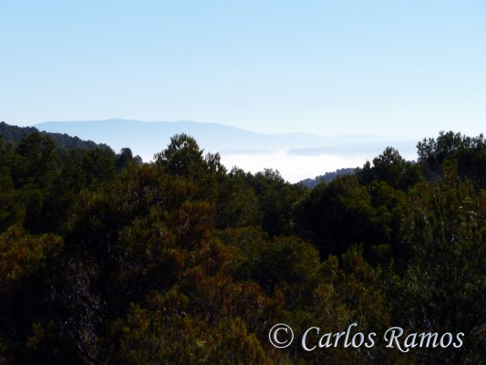 Armantes-Calatayud022