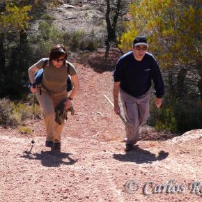 Armantes-Calatayud023