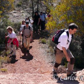 Armantes-Calatayud024