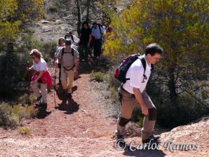 Armantes-Calatayud024