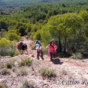 Armantes-Calatayud027