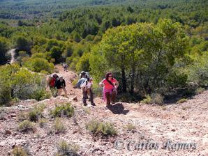 Armantes-Calatayud027
