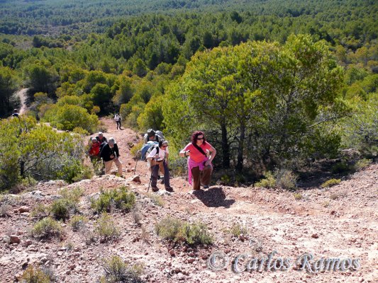Armantes-Calatayud027