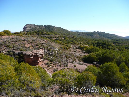 Armantes-Calatayud028