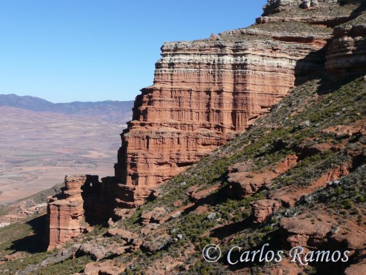 Armantes-Calatayud030