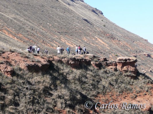 Armantes-Calatayud036