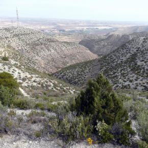 Sillón de María014