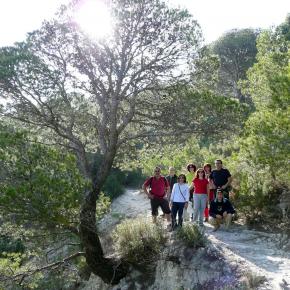 Sillón de María019