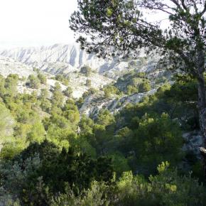 Sillón de María020