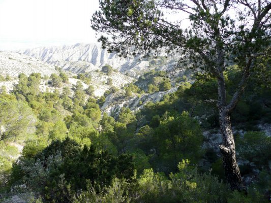 Sillón de María020