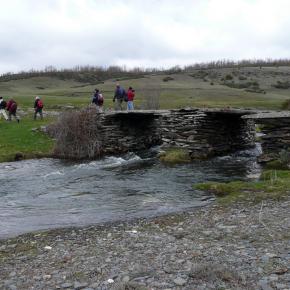 Hayero Tejera Negra04