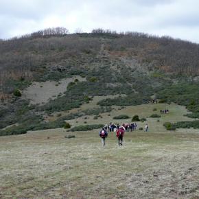Hayero Tejera Negra08