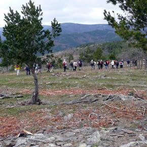 Hayero Tejera Negra13