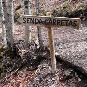 Hayero Tejera Negra20