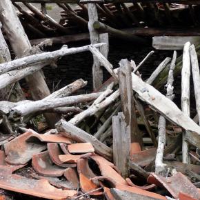 Hayero Tejera Negra34