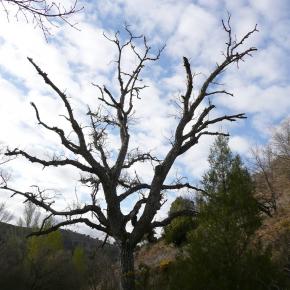 Barranco Río Dulce06