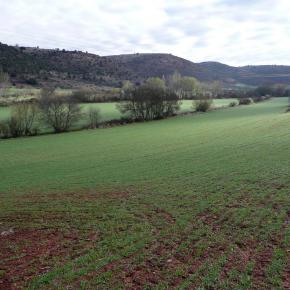 Barranco Río Dulce07