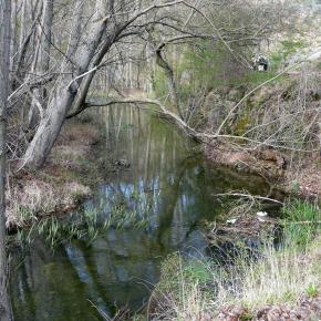 Barranco Río Dulce20