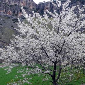 20080413 Barranco del Río Dulce