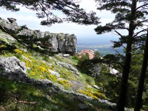 Moncayo000