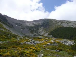 Moncayo024