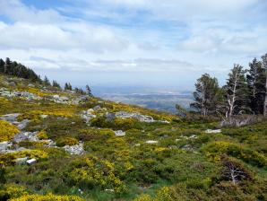 Moncayo027