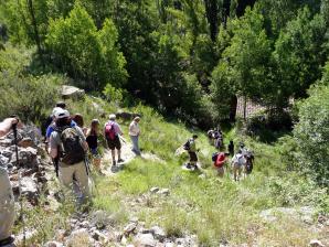 Río Ebrón006