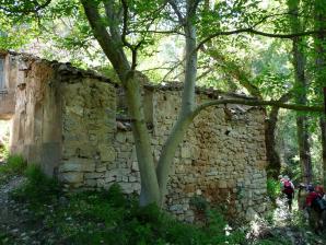 Molino viejo