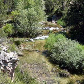 Río Ebrón040