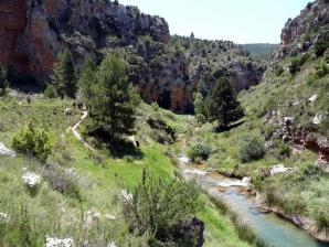 Río Ebrón058
