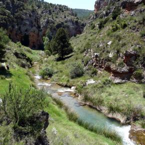 Río Ebrón059