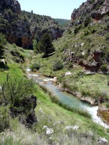 Río Ebrón059