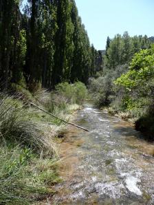 Río Ebrón063