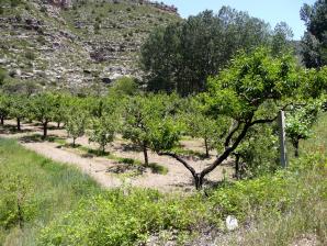Río Ebrón065