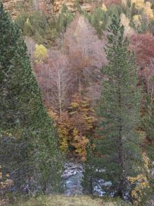 20081025 Ordesa
