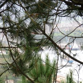 Fuenterrabía San Sebastián (11)