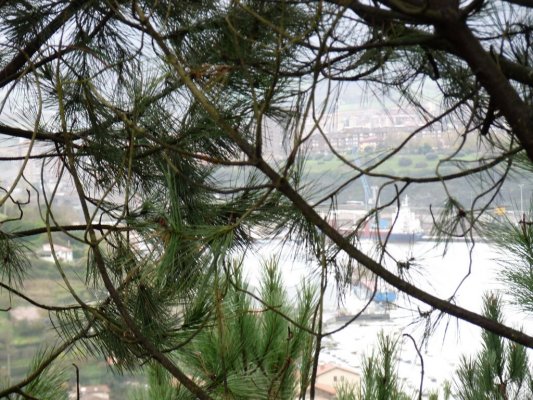 Fuenterrabía San Sebastián (11)