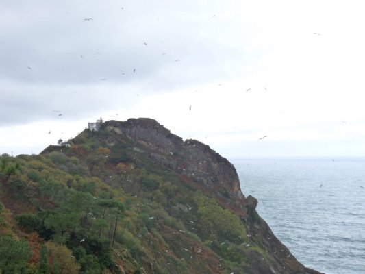 Fuenterrabía San Sebastián (16)